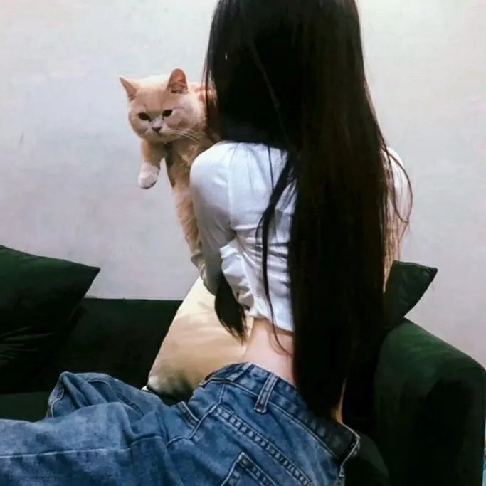 特战先锋